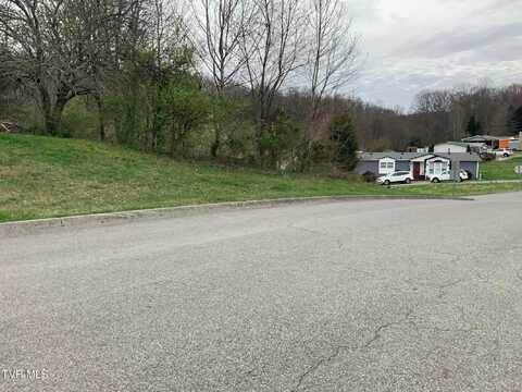 13 Highland Meadows Drive, Blountville, TN 37617