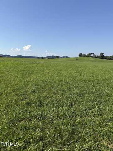 Lot 3 Mahoney Property, Hwy 81 N, Jonesborough, TN 37659