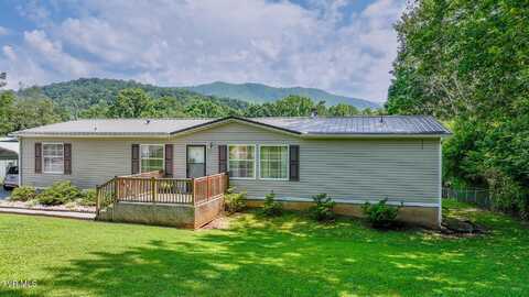 1070 Bill Martin Road, Afton, TN 37616