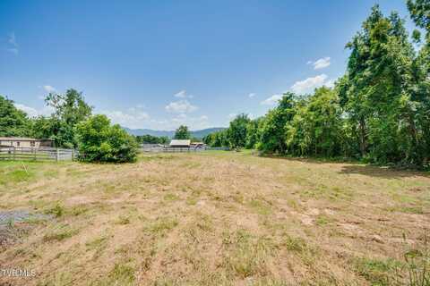 165 George Bowers Road, Elizabethton, TN 37643