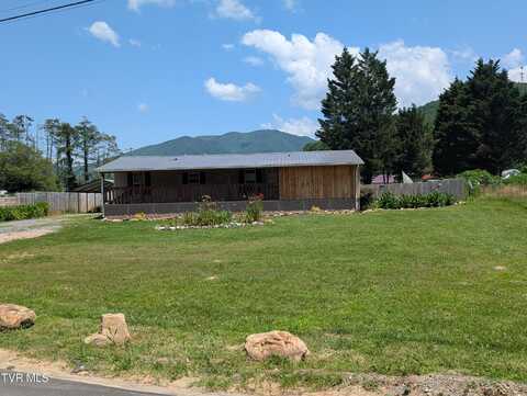 204 Spring Street, Hampton, TN 37658