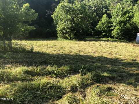Tbd Gottland Shoals Road, Blountville, TN 37617