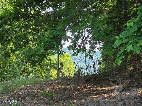 Tbd Union Church Road, Sneedville, TN 37869
