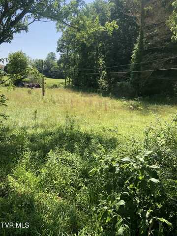 467 Oak Glen Circle, Fall Branch, TN 37656