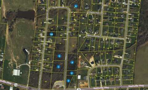 163 Abby Lane, Baxter, TN 38544