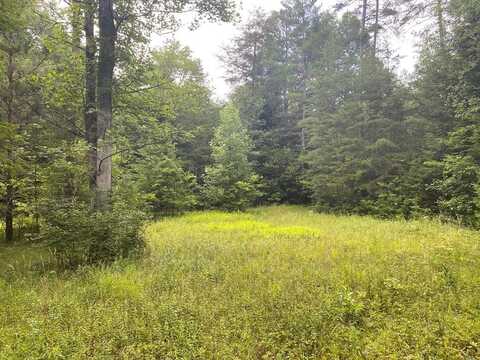 Baxter Norris Road, CROSSVILLE, TN 37723