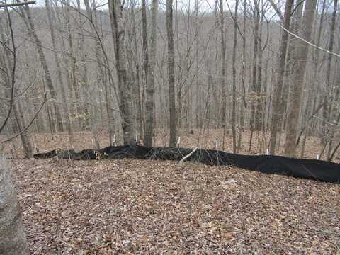 Lot 60 W Bobcat Lane, WILDER, TN 38589