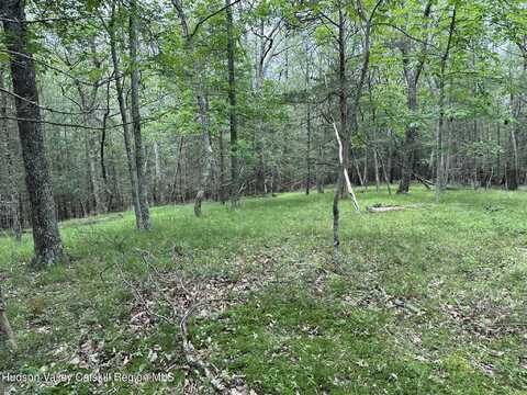506 Rivka Road, Saugerties, NY 12477