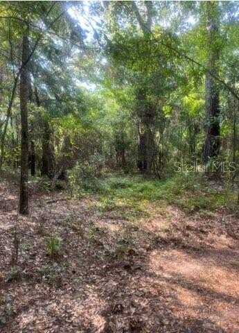 0 J&J LANE, QUINCY, FL 32351
