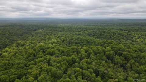 tbd off Donken-Tapiola, Twin Lake, MI 49958