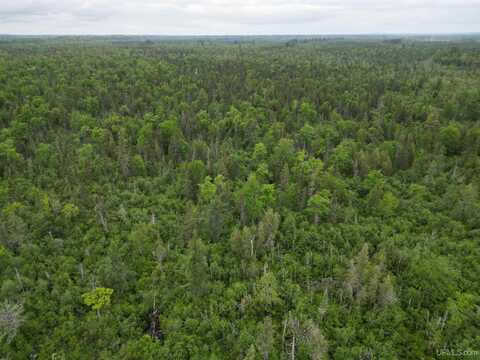 TBD Off EE.25, Rapid River, MI 49878