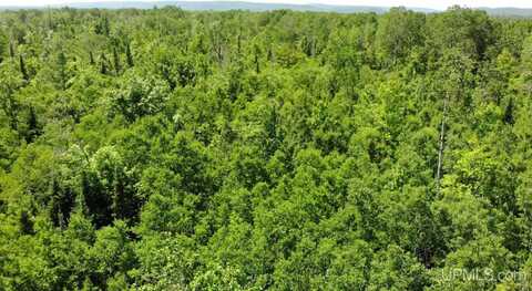 TBD 1 Norwich, Ewen, MI 49925