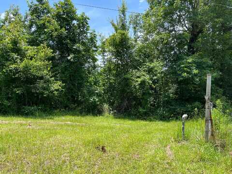 1401 PRIDMORE Rd, Quinton, AL 35130