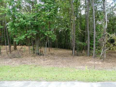 LOT 74 HARBOR LIGHTS TRAIL, Jasper, AL 35504