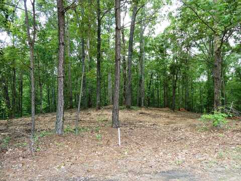 LOT 77 BROKEN ARROW, Jasper, AL 35504