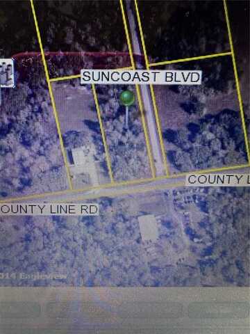 0 COUNTY LINE ROAD, SPRING HILL, FL 34608
