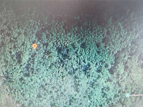 HOLOPAW GROVES ROAD, Saint Cloud, FL 34771