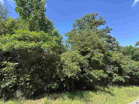 0 Mt Hebron Church Road, Dawson Springs, KY 42408