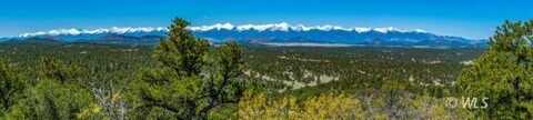TR-16 White Wing Way, Cotopaxi, CO 81223