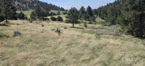 950 CO RD 330, Westcliffe, CO 81252