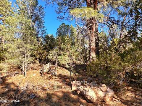 3377 Mogollon Drive, Overgaard, AZ 85933