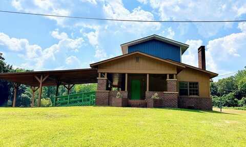 10501 County Road 53, Wadley, AL 36276