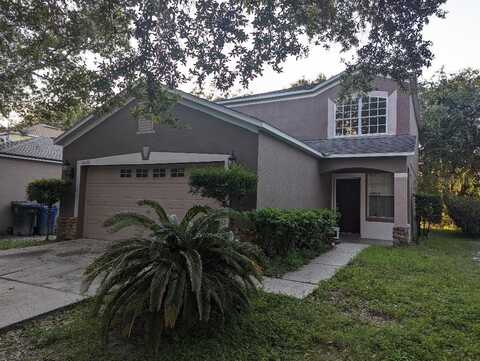 18126 BIRDWATER DRIVE, TAMPA, FL 33647