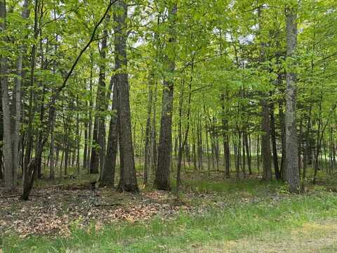 5945 Lodgepole Road, Harbor Springs, MI 49740