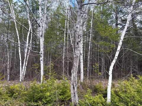 Kauffman Road lot: 249, Presque Isle, MI 49777