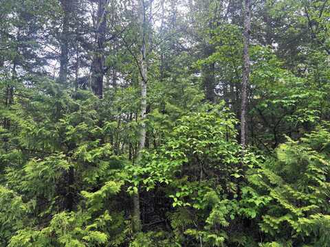 Doyle Drive lot: 99 & 100, Presque Isle, MI 49777