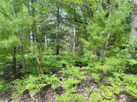14560 E Shoreline Drive lot: 88, Wolverine, MI 49799