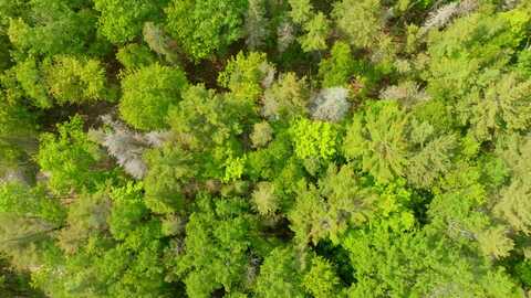 Tamarack Trail lot: 749, Beaver Island, MI 49782