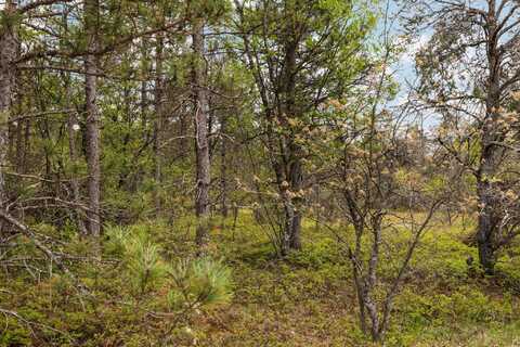 110 Acres Winding Road, Lewiston, MI 49756
