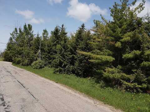 E W Resort Road lot: 1, Alanson, MI 49706