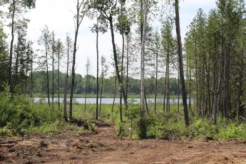 McGahn, Germfask, MI 49836