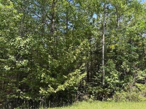 E Renwick Circle lot: 86, Presque Isle, MI 49777