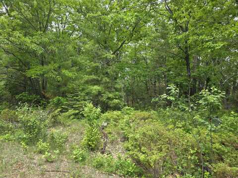 Balsam Circle lot: 470, 471 & 472, Presque Isle, MI 49777