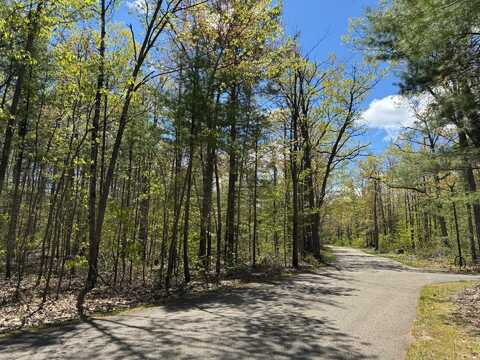 Eastridge Drive, Gaylord, MI 49735