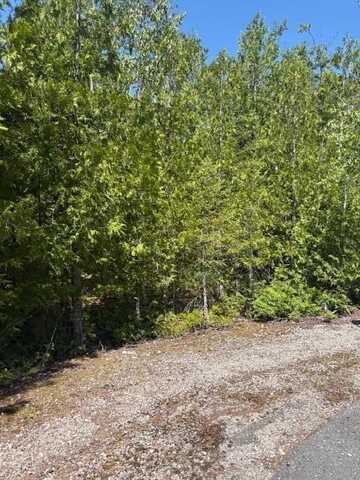 Tip Top Court lot: 15, Presque Isle, MI 49777