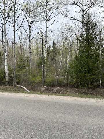 13496 N Mackinaw Highway, Mackinaw City, MI 49701