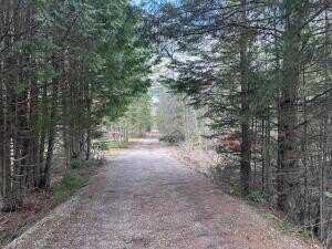 5 acres N Black River Road, Cheboygan, MI 49721