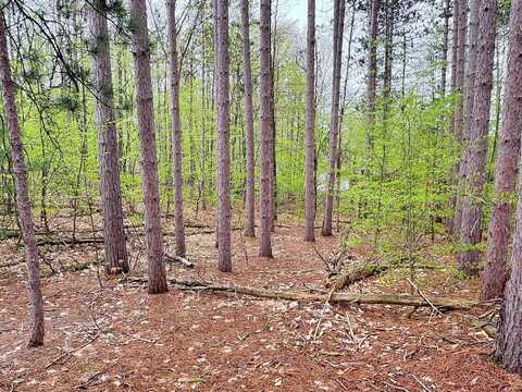 Del Mason Road, Bellaire, MI 49615