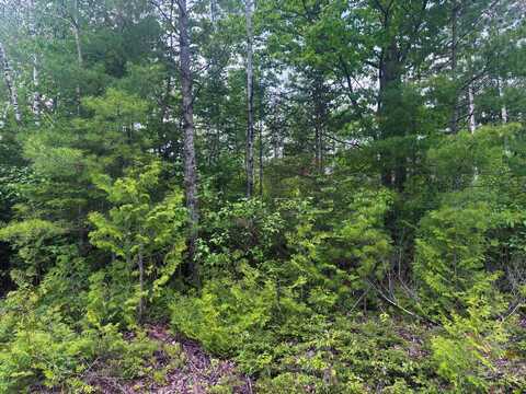 Bonita Drive lot: 115, Presque Isle, MI 49777