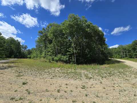 Vera Lane lot: #37-39, Roscommon, MI 48653