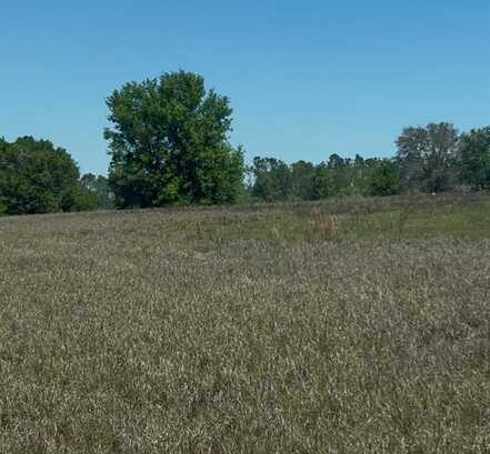 OTTERS RUN DRIVE, GROVELAND, FL 34736