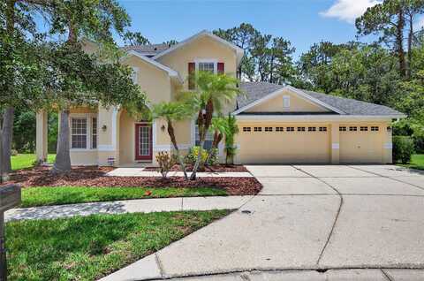 16102 COLCHESTER PALMS DRIVE, TAMPA, FL 33647