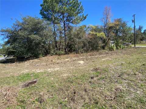 7209 N GALT POINT, CITRUS SPRINGS, FL 34434