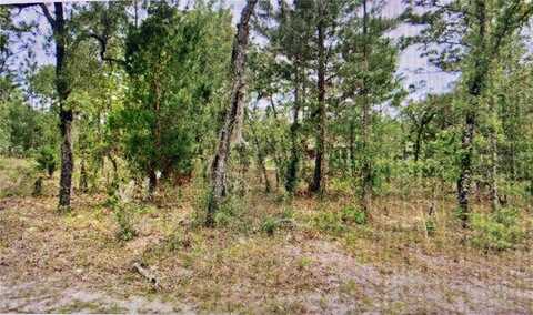 2842 W LEEWARD PLACE, CITRUS SPRINGS, FL 34433