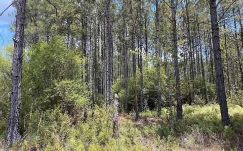 1570 SW WABASSO TERRACE, GREENVILLE, FL 32331