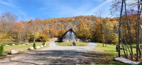 1211 Gulf Road, Livingston Manor, NY 12724